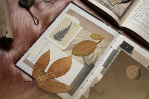 Scrapbooking co to