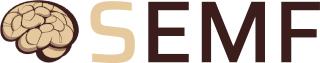 Logo semf.pl